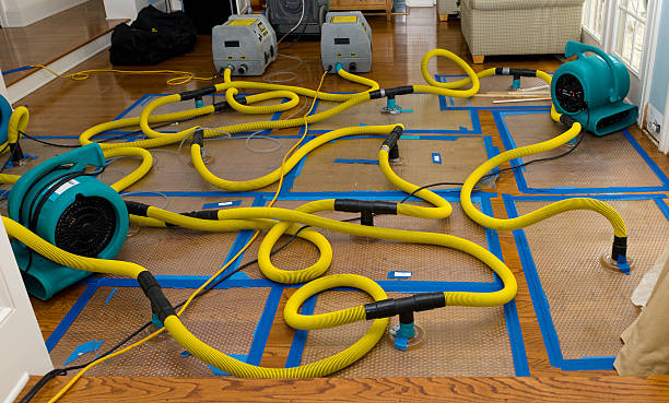 Professional Burst Pipe Water Damage technician working in Tallmadge, OH